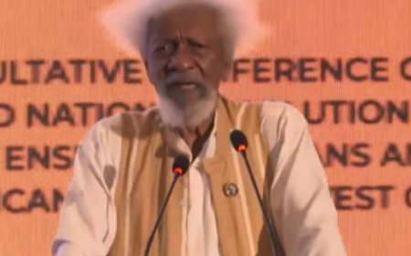 Slave Trade Not Over, Still Active Across Africa – Prof. Wole Soyinka