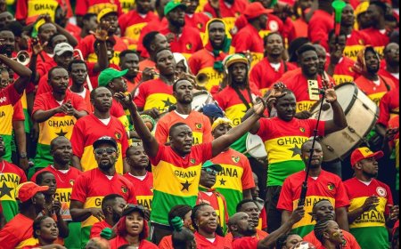 No State Funds For World Cup Supporters – Sports Ministry