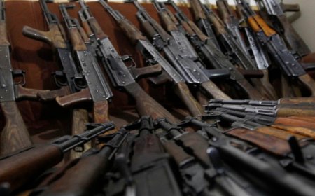 Interior Minister Suspends All Active Gun Licenses in Ghana, Orders Fresh Screening