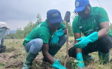Ecobank Ghana Plants 2,000 Trees to Deepen Environmental Sustainability Drive