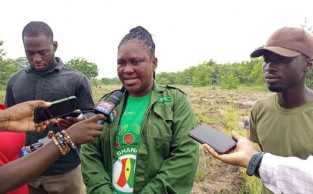 Tema-Ada Forestry Targets 30 Million Trees as 22 Hectares Already Restored Under Tree for Life Drive