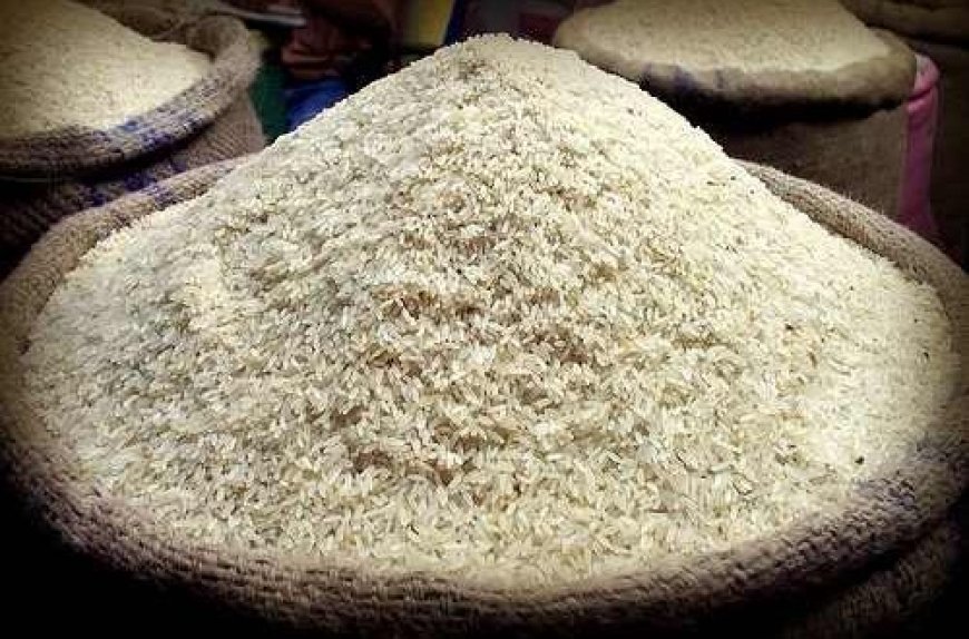 Government Maps 515,000 Hectares For Rice Production To Attract Investment, Cut Imports