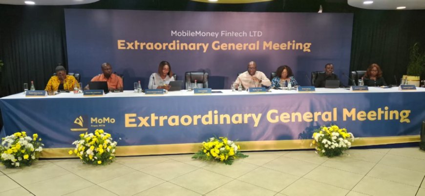 Mobile Money Fintech Shareholders Approve Q1 Dividend At Extraordinary General Meeting