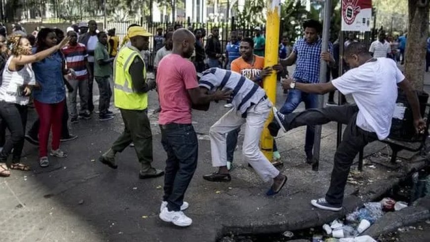 Xenophobic Attacks Are Hurting South Africa’s Image Abroad, Says Minister