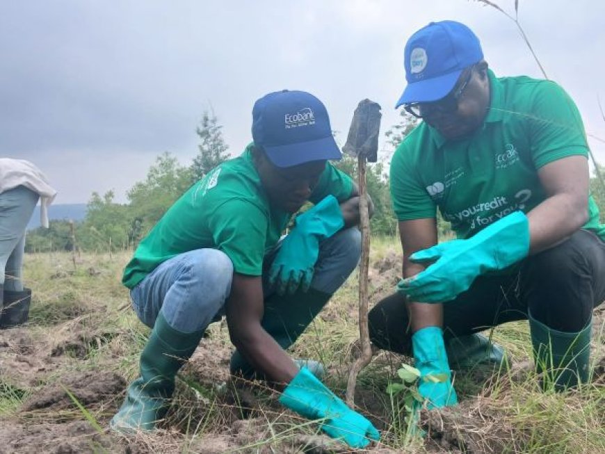 Ecobank Ghana Plants 2,000 Trees to Deepen Environmental Sustainability Drive