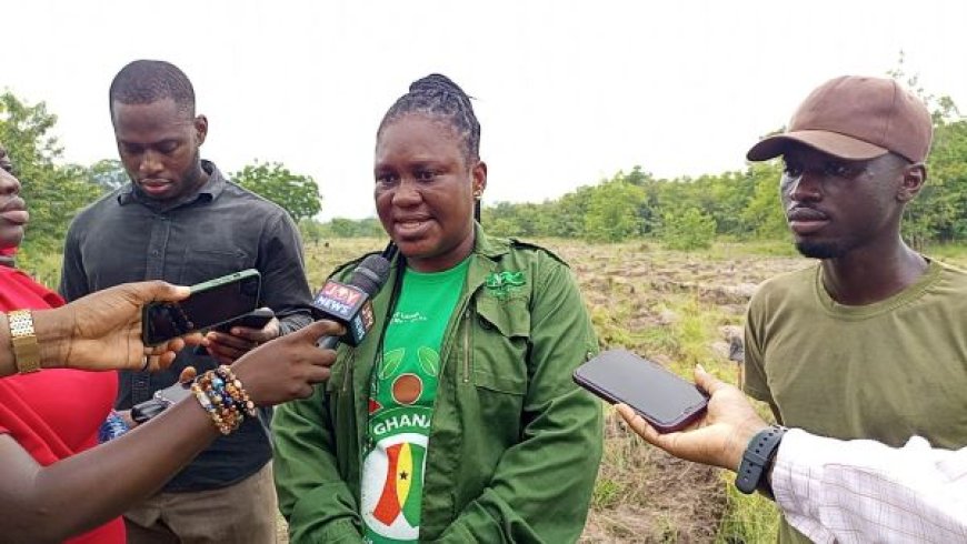 Tema-Ada Forestry Targets 30 Million Trees as 22 Hectares Already Restored Under Tree for Life Drive