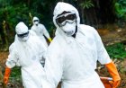 Ebola Outbreak Could Cost Africa Up to $3.6 billion, UN Says