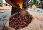 GH¢34.5bn Paid Out In Cocoa Purchases As COCOBOD Injects More Cash