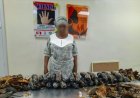 67-Year-Old Nigerian-British Grandma Arrested With 13kg Cocaine Hidden in Plantain Peels