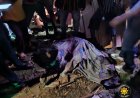 One Dead In Gory Accident On Goaso–Kukuom Highway