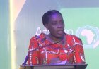 Africa Accounts For 95% Of Global Malaria Deaths — AU