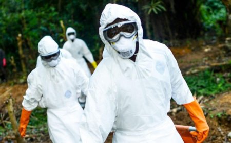 Ebola Outbreak Could Cost Africa Up to $3.6 billion, UN Says