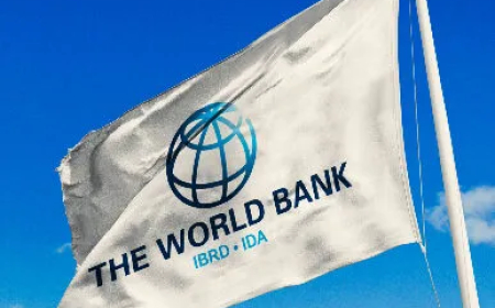 World Bank Says Finance Ministry Fiscal Controls Delayed GARID Project