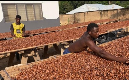 COCOBOD Releases GH¢2.6m to LBCs to Settle Cocoa Farmers