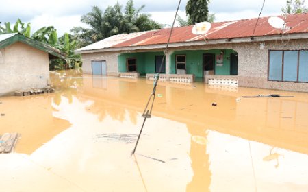 Ramsar Site Encroachment Worsening Weija-Gbawe Floods — Jerry Ahmed
