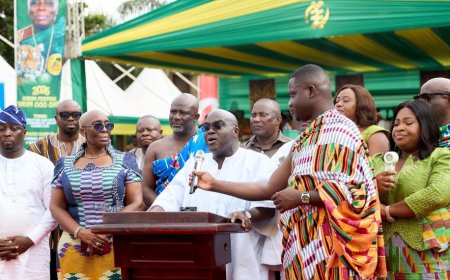 Gov’t To Establish Major Palm Processing Factory In Akyem Abuakwa