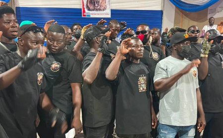 NPP Upper East Launches ‘Lions of NPP’ Security Group