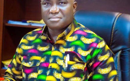 Ghana to Experience Tomato Glut in 3–4 Months – Eric Opoku