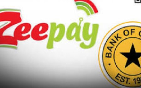 BoG Revokes Zeepay’s Electronic Money Licence Over Regulatory Breaches