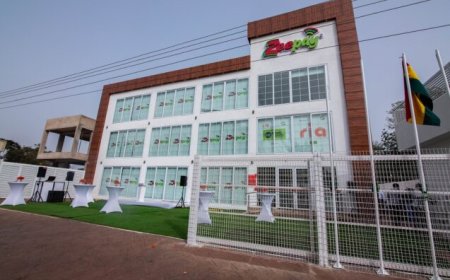 Digital Chamber of Ghana Backs BoG’s Zeepay Decision, Urges Public To Remain Calm