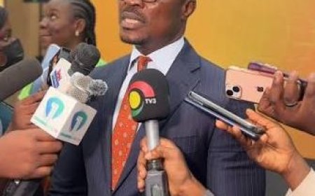 Fibre Internet Is a Necessity Not A Luxury – MTN Chief Home Officer