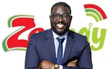 Zeepay Saga: Did CEO Use A Personal MTN Wallet For Company Transactions?