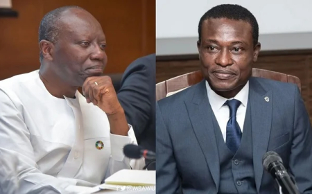No Evidence From OSP Showing Ofori-Atta Committed Any Crime- US Judge