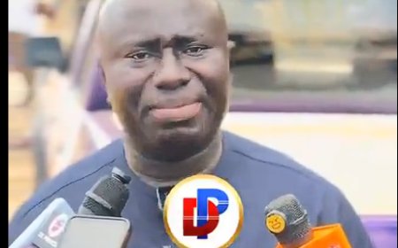 VIDEO: Let's Celebrate If The Imprisonment Of Wontumi Will End Galamsey- Paul Yandoh