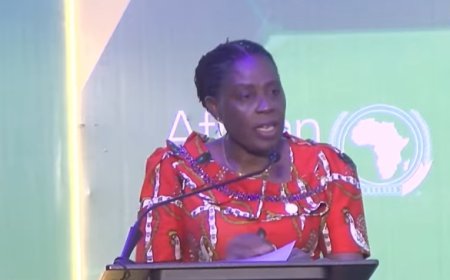 Africa Accounts For 95% Of Global Malaria Deaths — AU