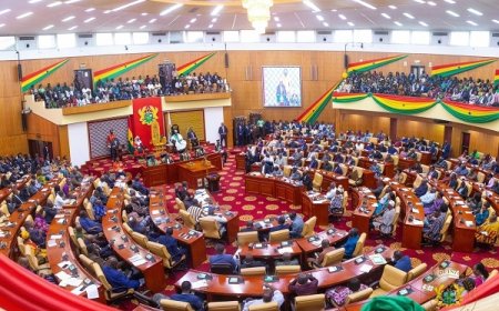 Parliament Approves $300m Loan For SHS Infrastructure Expansion