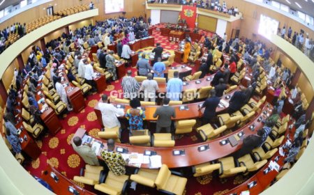 MPs Approve Zero Excise Duty On Local Fruit Juices