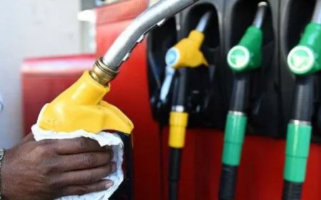 NPA Raises Diesel Price Floor By 18%; Petrol Up 9.4%