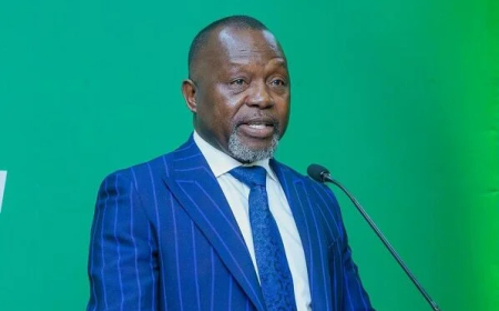 Govt Backs Constitutional Reform to Let Dual Citizens Run for Parliament