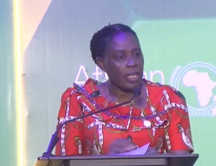 Africa Accounts For 95% Of Global Malaria Deaths — AU