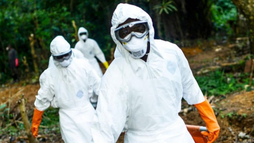 Ebola Outbreak Could Cost Africa Up to $3.6 billion, UN Says