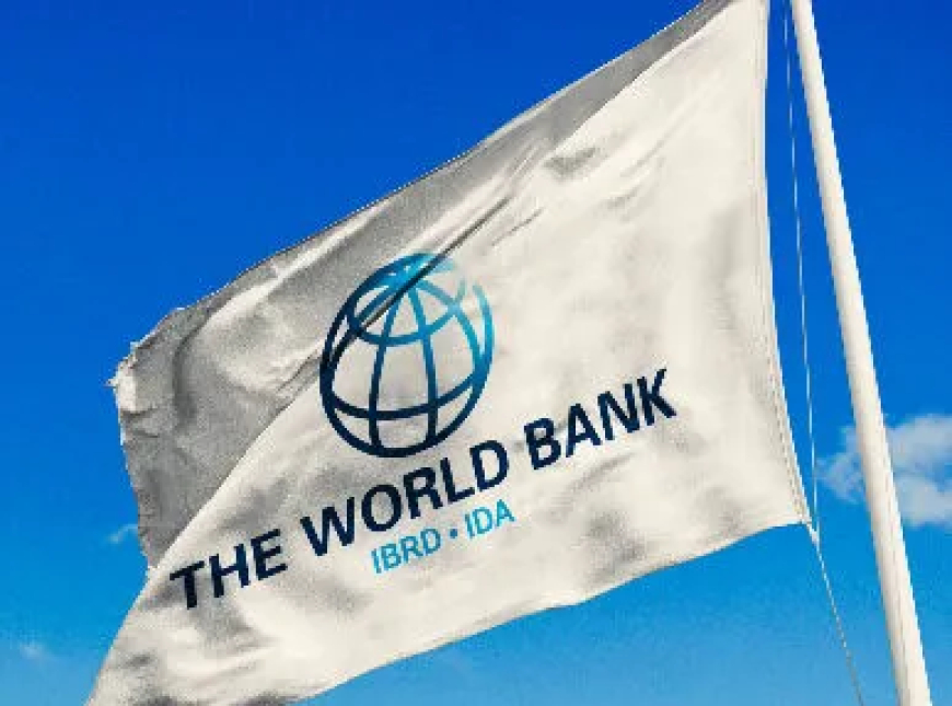 World Bank Says Finance Ministry Fiscal Controls Delayed GARID Project