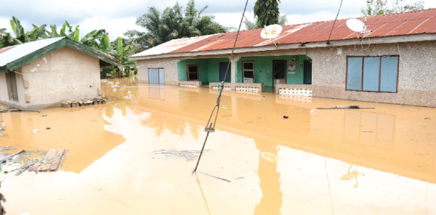 Ramsar Site Encroachment Worsening Weija-Gbawe Floods — Jerry Ahmed