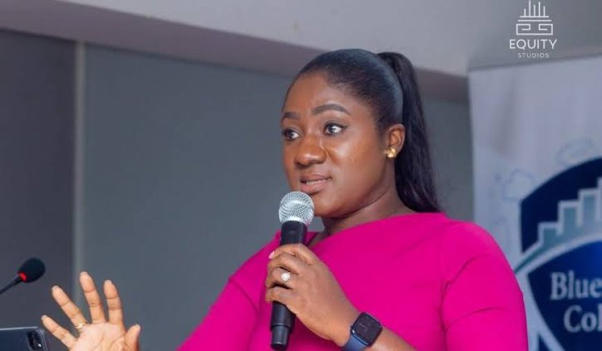 Throw Out Mahama's Third-Term Petition – Akosua Manu to Supreme Court