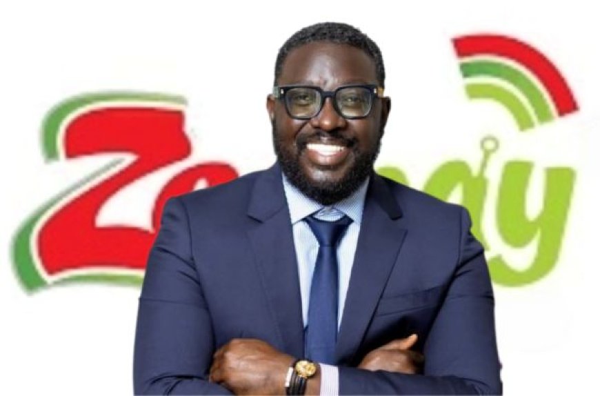 Zeepay Saga: Did CEO Use A Personal MTN Wallet For Company Transactions?