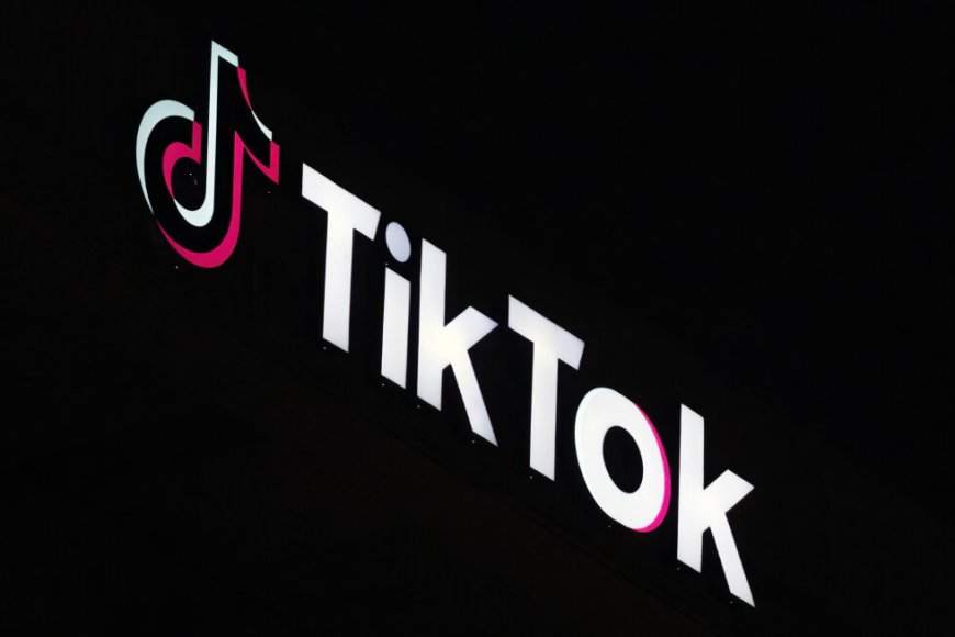 TikTok US chief Security Officer To Testify Before US House On September 15