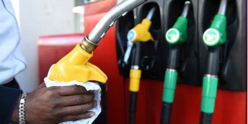 NPA Raises Diesel Price Floor By 18%; Petrol Up 9.4%