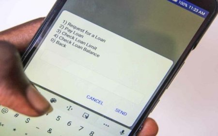 MTN Ghana: Ghana Card Will Detect MoMo Loan Defaulters Who Dispose Of SIM Cards