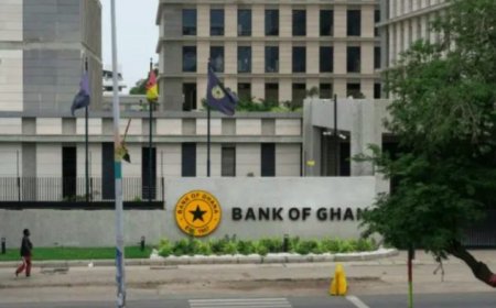 FULL LIST: Bank of Ghana Blacklists 20 Unlicensed Loan Apps
