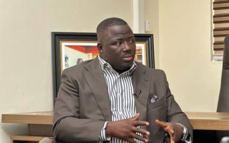 Nana Yaa Jantuah Made A Mistake Accepting NPP’s Petition – Mustapha Gbande