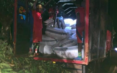 118 Bags Of Cocoa Beans Intercepted At Bunkpurugu; Four Arrested