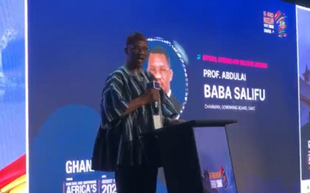 Nearly 600m Africans Lack Access To Electricity – GAEC Board Chair