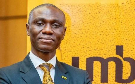 UMB Is First Bank To Get BoG, SEC Approval To Open Virtual Asset Accounts