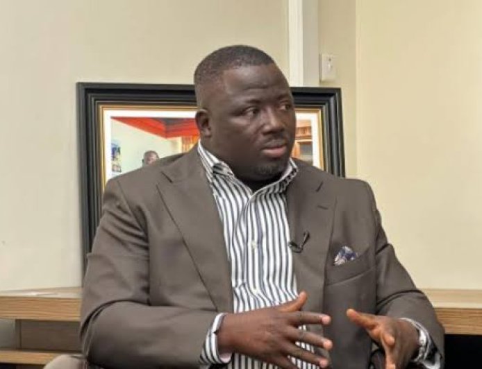 Nana Yaa Jantuah Made A Mistake Accepting NPP’s Petition – Mustapha Gbande