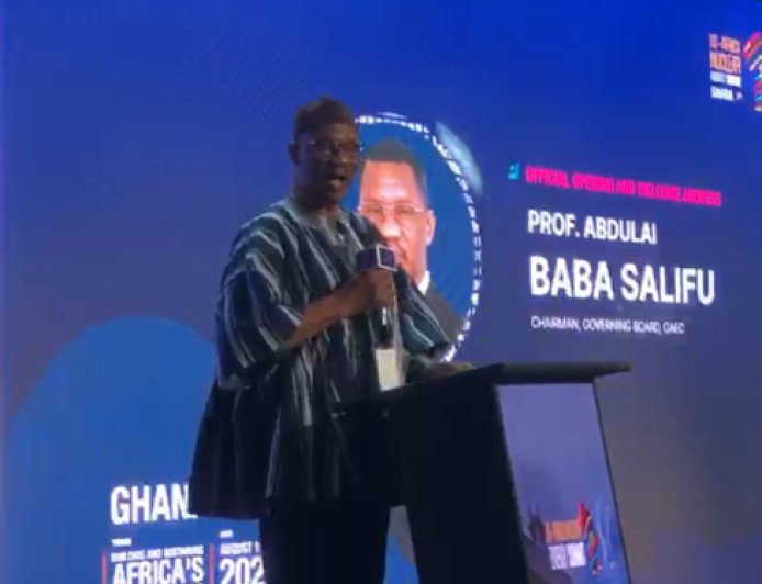 Nearly 600m Africans Lack Access To Electricity – GAEC Board Chair
