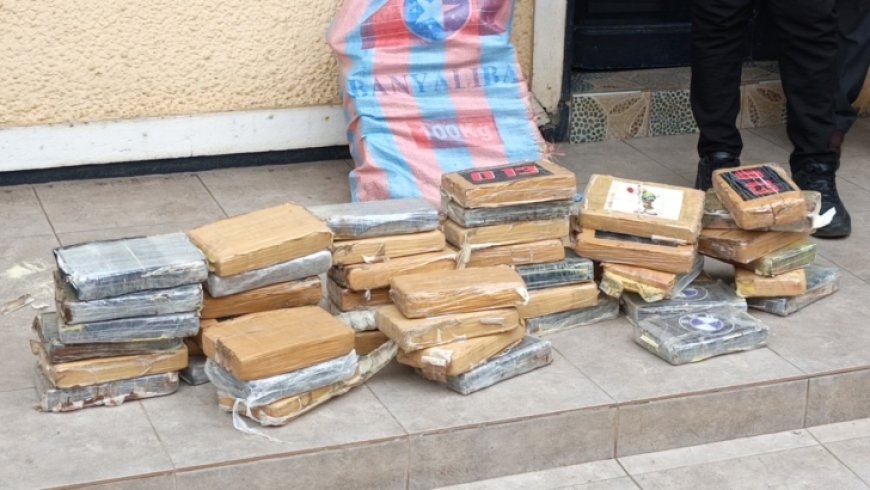 Tema: Seized Suspected Cocaine In Port Enclave Has Street Value Of US$6.928 Million - Police
